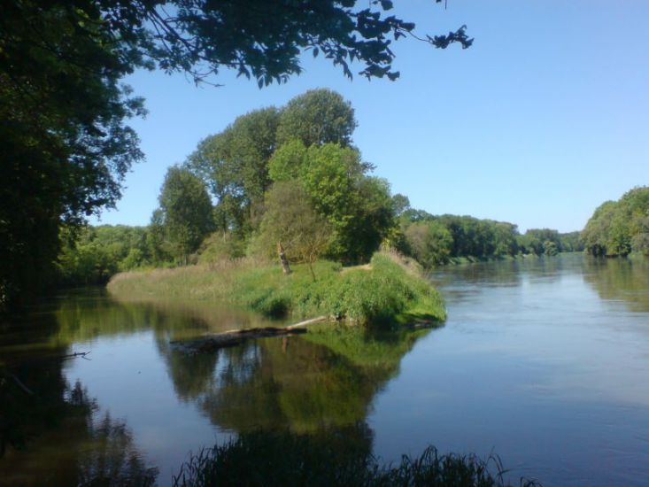 An der Donau bei Marxheim.
